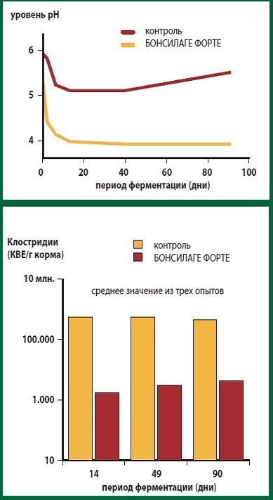 Эффективность консерванта для сенажа Бонсилаге Форте