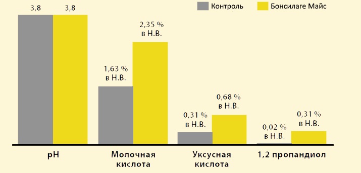 Больше энергии в кукурузном силосе с консервантом Бонсилаге Майс