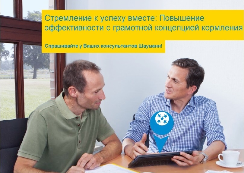 Концепция Шауманн - путь к успеху Концепция Шауманн - путь к успеху