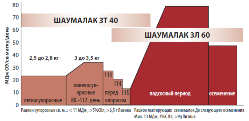 Концепция кормления свиноматок с премиксами Шаумалак