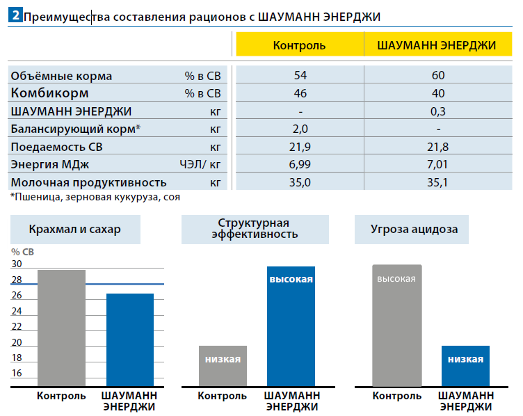 Преимущества Шауманн Энерджи